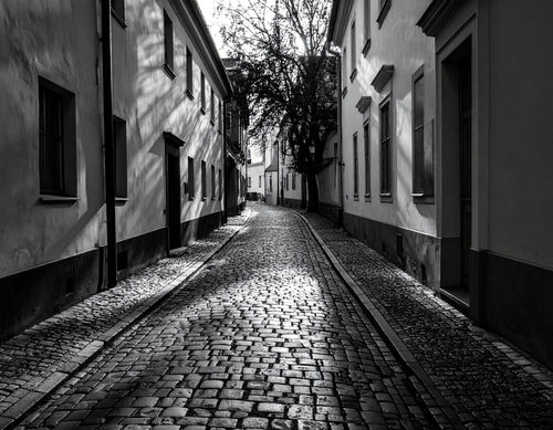 Schwarz-Weiß Klassiker