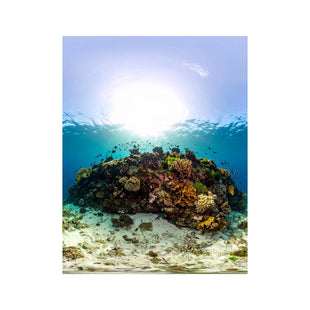 Wandbild Atemberaubendes Korallen Riff