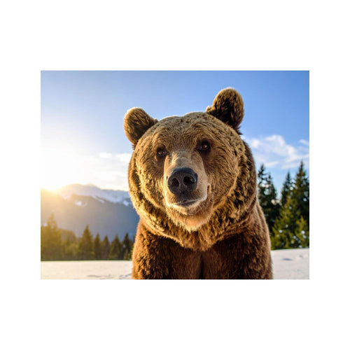 Wandbild Grizzlybär 2