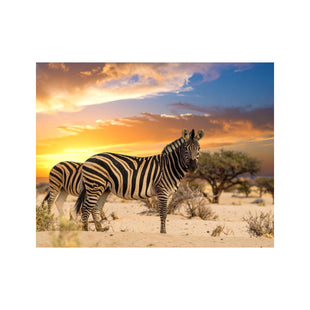 Wandbild Zebras
