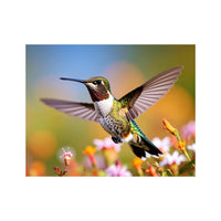 Wandbild Kolibri