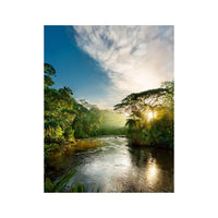 Wandbild Regenwald 1