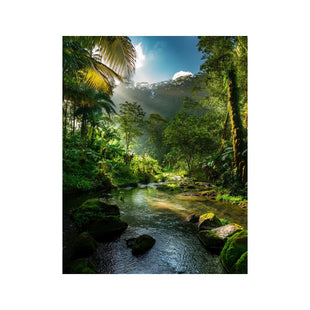 Wandbild Regenwald 2