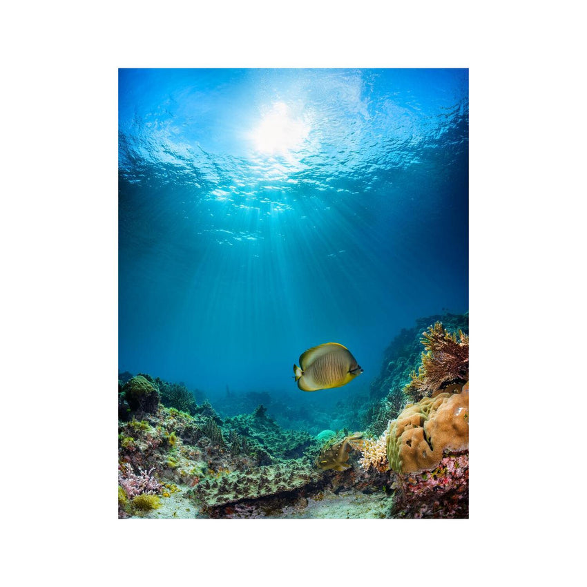 Wandbild  unter dem Meer 3