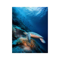 Wandbild  unter dem Meer 4