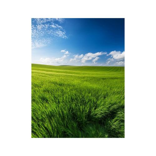 Wandbild grünes Feld 1