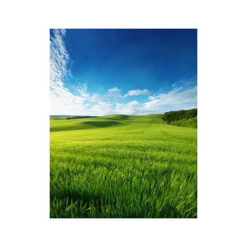 Wandbild grünes Feld 2