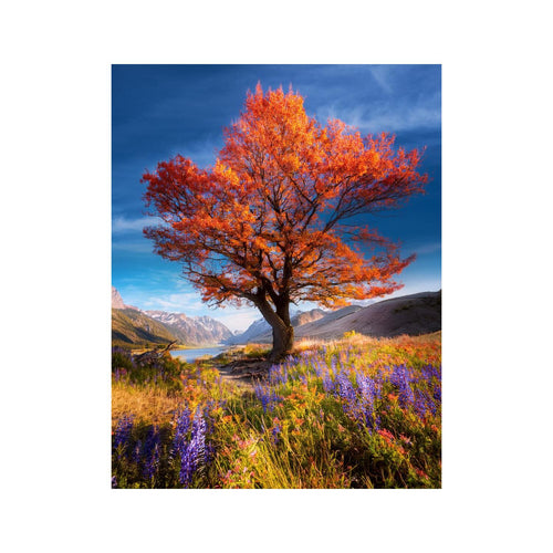 Wandbild schöner Baum 2