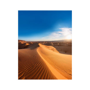 Wandbild Wüste 11