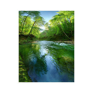 Wandbild Regenwald 6