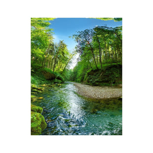 Wandbild Regenwald 7