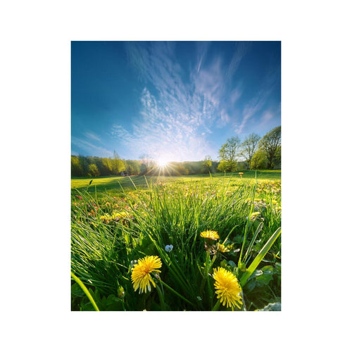 Wandbild grünes Feld 3