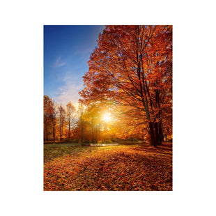 Wandbild schöner Baum 4
