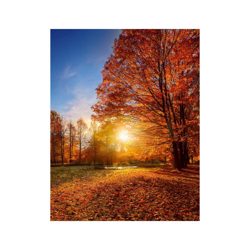 Wandbild schöner Baum 4