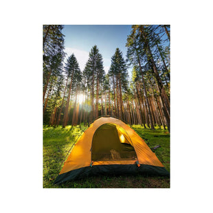 Wandbild Waldlager 1