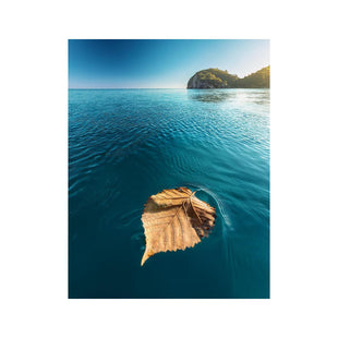 Wandbild Blatt auf Wasser 2