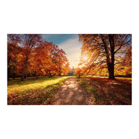 Wandbild schöner Baum 6