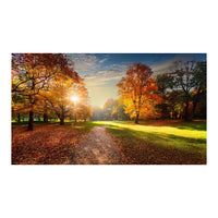 Wandbild schöner Baum 7