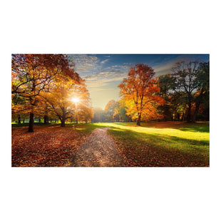 Wandbild schöner Baum 7