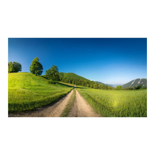 Wandbild grünes Feld 6