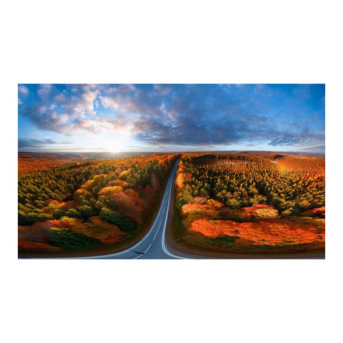 Wandbild Wald 3