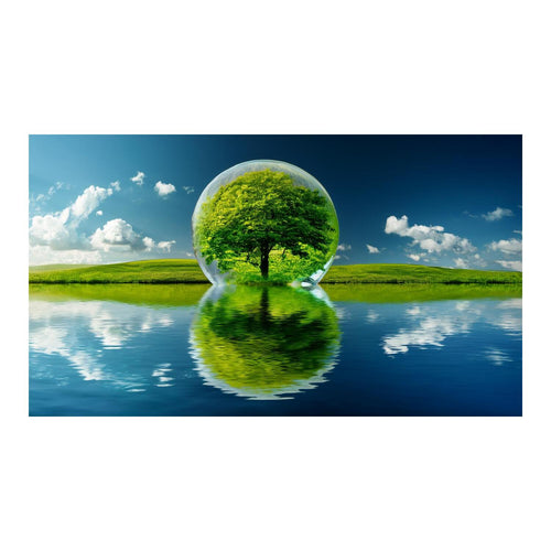 Wandbild schöner Baum 8