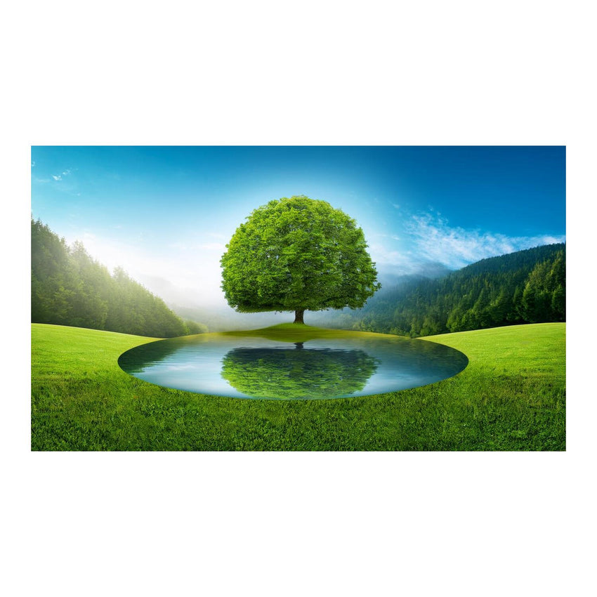 Wandbild schöner Baum 9