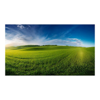 Wandbild grünes Feld 8