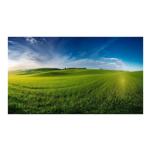 Wandbild grünes Feld 8
