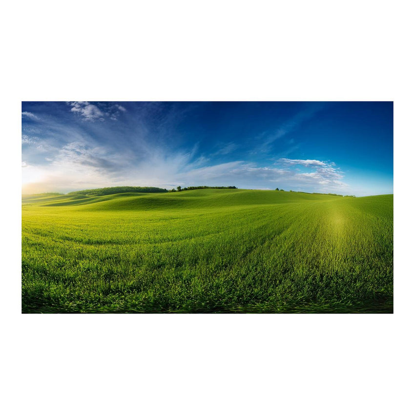 Wandbild grünes Feld 8