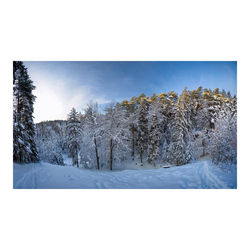 Wandbild Schneewald 1