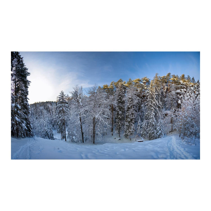 Wandbild Schneewald 1