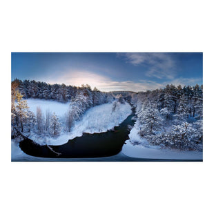 Wandbild Schneewald 2