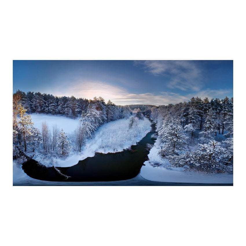 Wandbild Schneewald 2