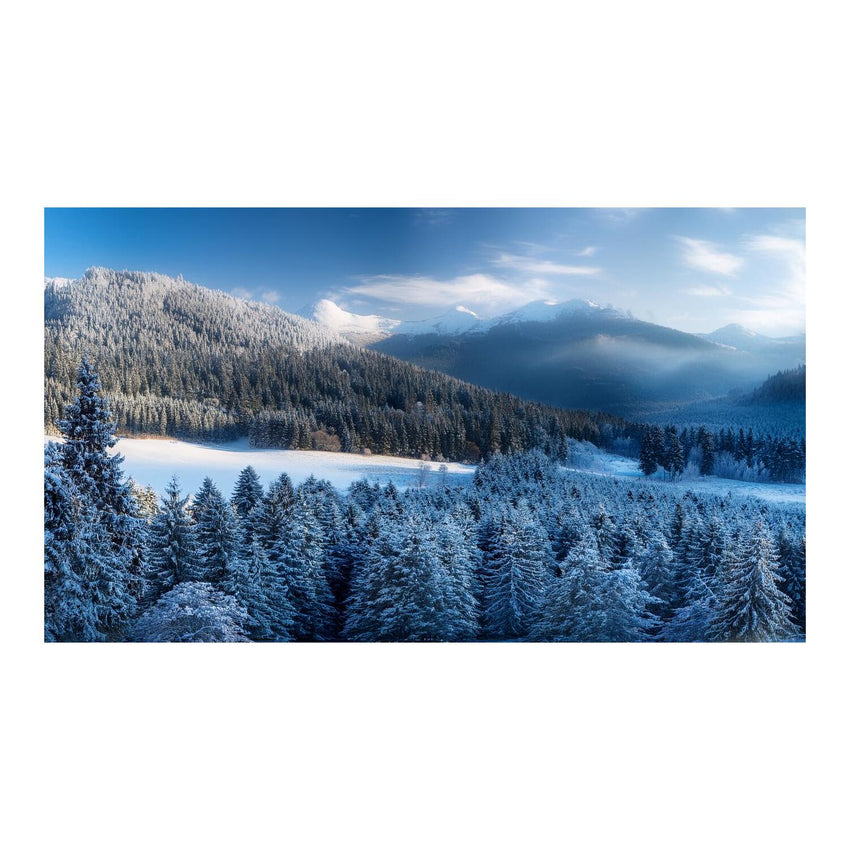 Wandbild Schneewald 3