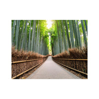 Wandbild Arashiyama Bambushain