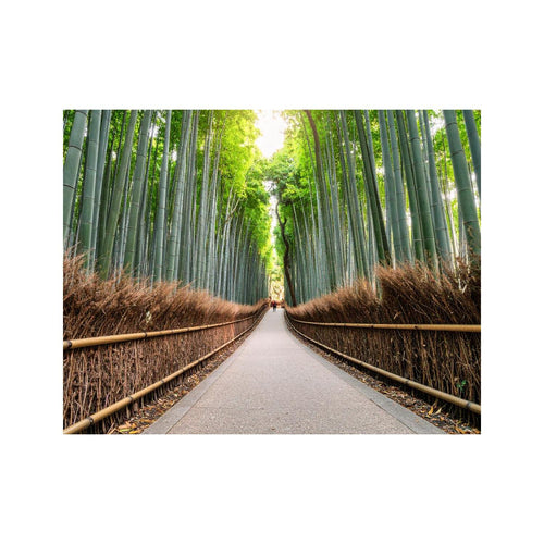 Wandbild Arashiyama Bambushain