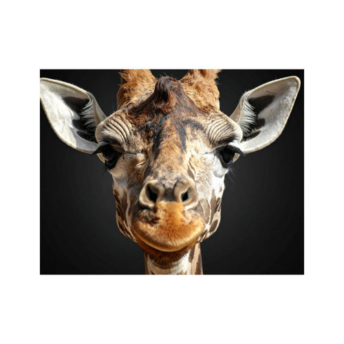 Wandbild lustige Giraffe