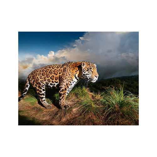Wandbild Tiere 4