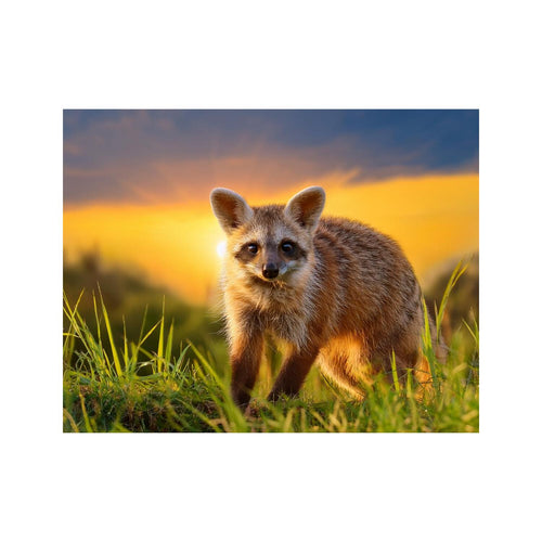 Wandbild Tiere 8