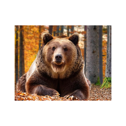 Wandbild Tiere 19