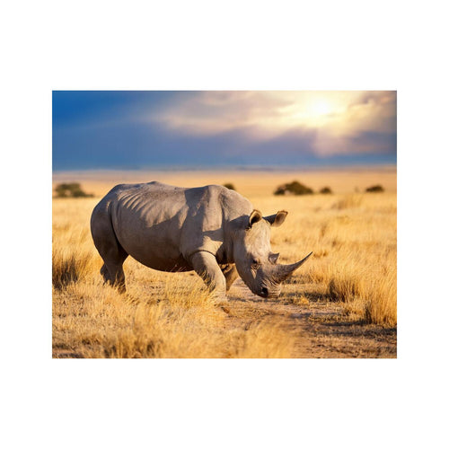 Wandbild Tiere 23