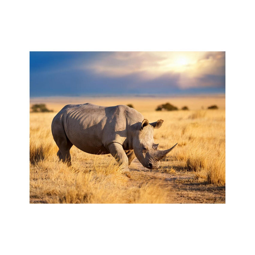 Wandbild Tiere 23