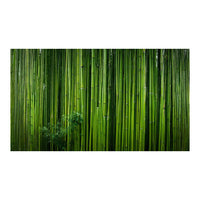 Wandbild abstrakte Texturen 11