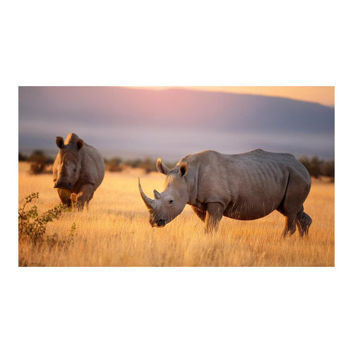 Wandbild Tiere 43