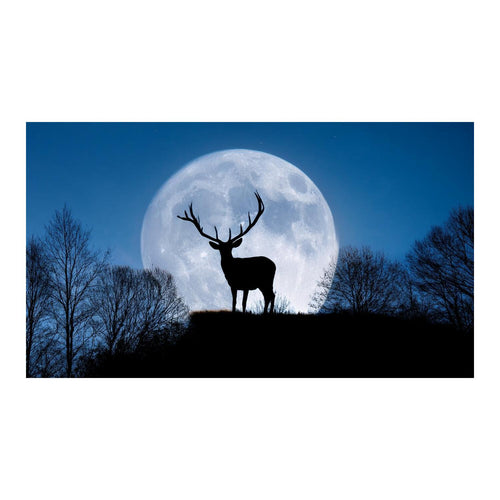 Wandbild Tiere 45