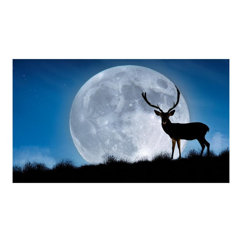 Wandbild Tiere 46