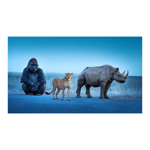Wandbild Tiere 49