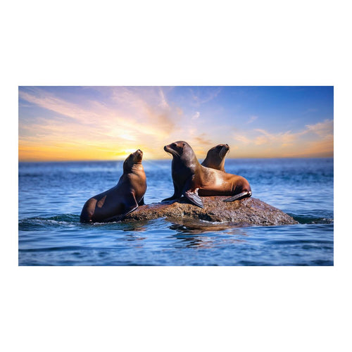 Wandbild Tiere 53