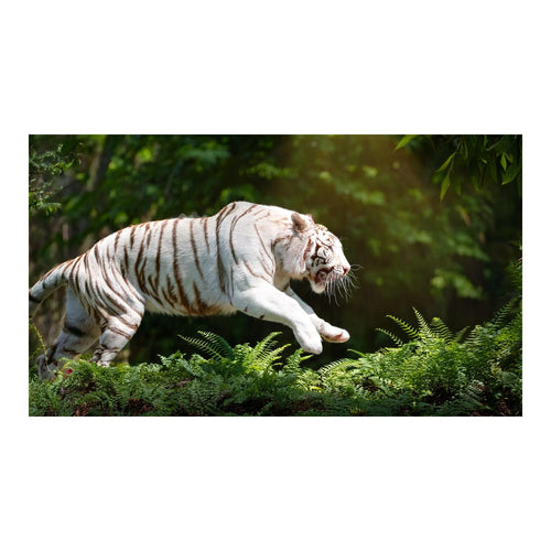 Wandbild Tiere 71